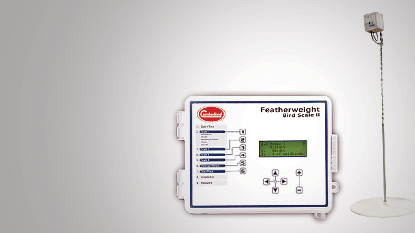 Featherweight Bird Scale II