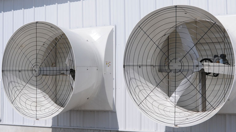 Fiberglass Fans