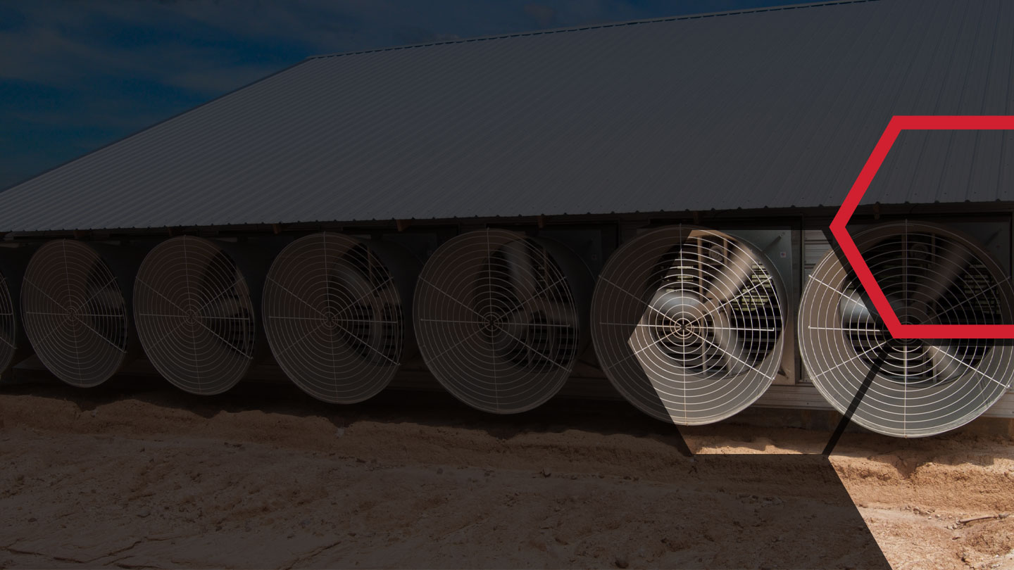 Galvanized Steel Fans