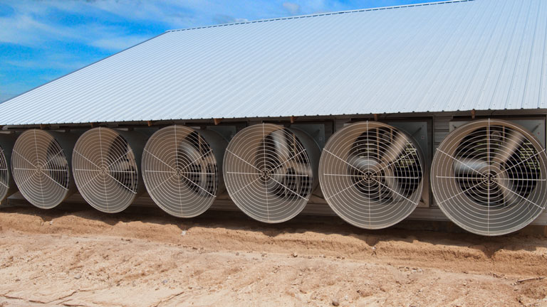 Galvanized Steel Fans