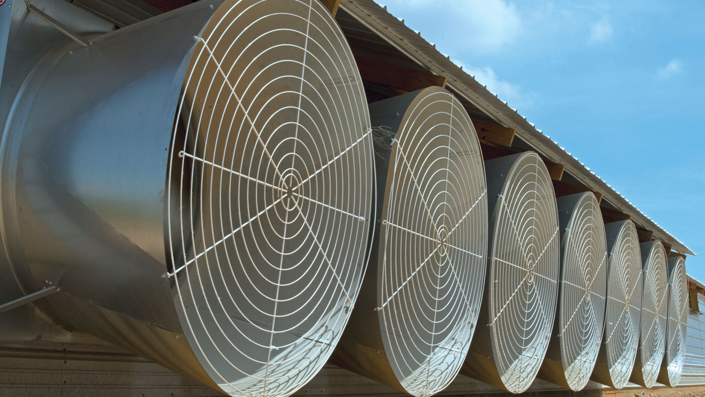 Mega Flow Butterfly Fans