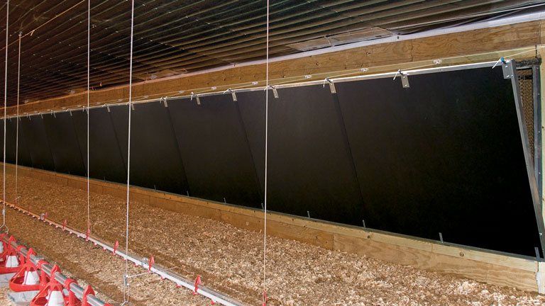 Cumberland Inside Tunnel Doors in a poultry facility