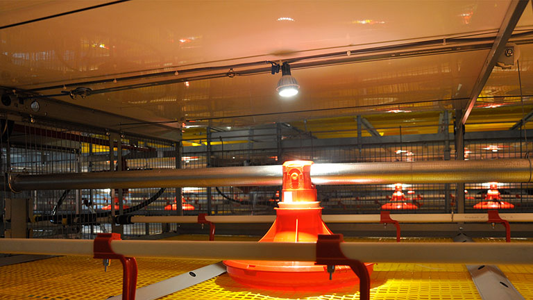 LED Lighting Systems LED Lighting Systems