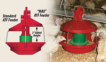 Max Adult Turkey Feeder