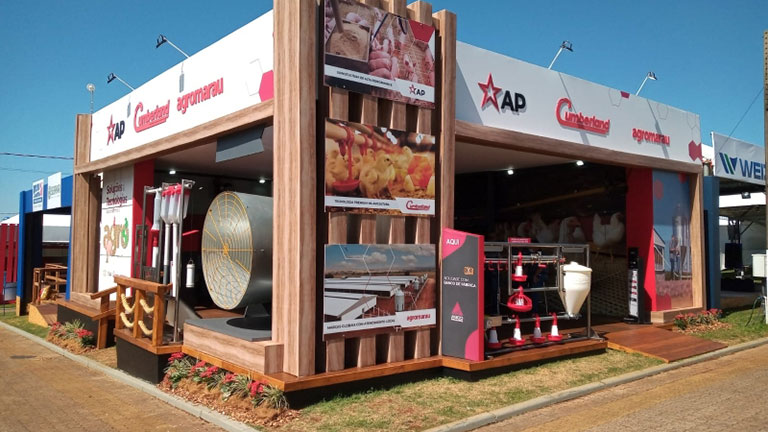 ori_259_proteínaestándar